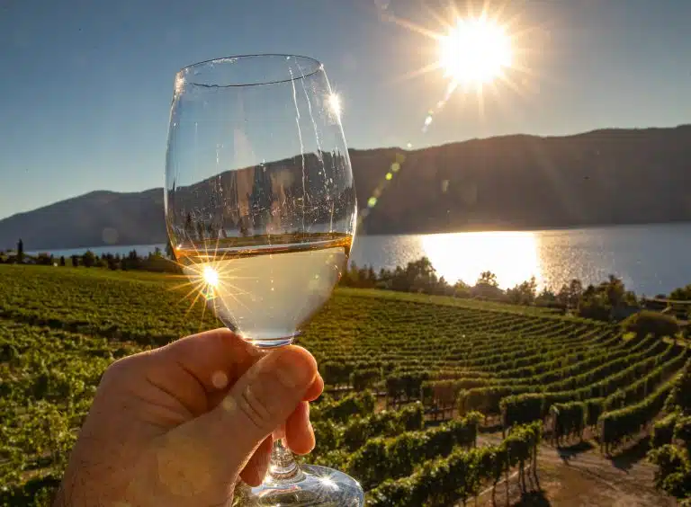 Osoyoos Wine Tour Half Day