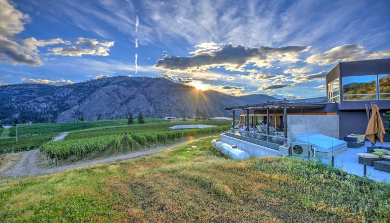 Okanagan Falls Wine Tour Half Day
