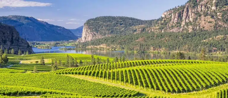 Osoyoos Wine Tour