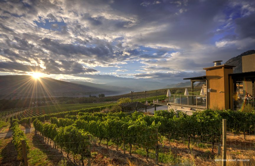 Best South Okanagan Wine Tour 1 Best South Okanagan Wine Tour