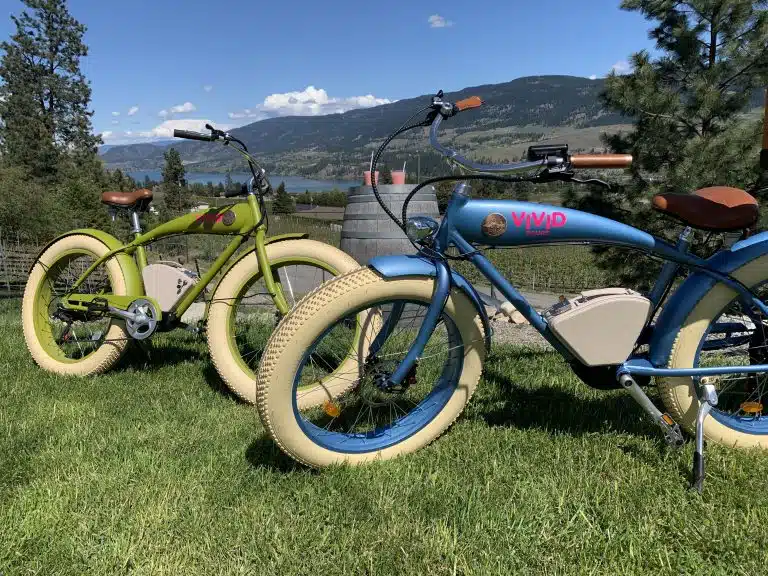Kelowna E-Bike Wine Tour