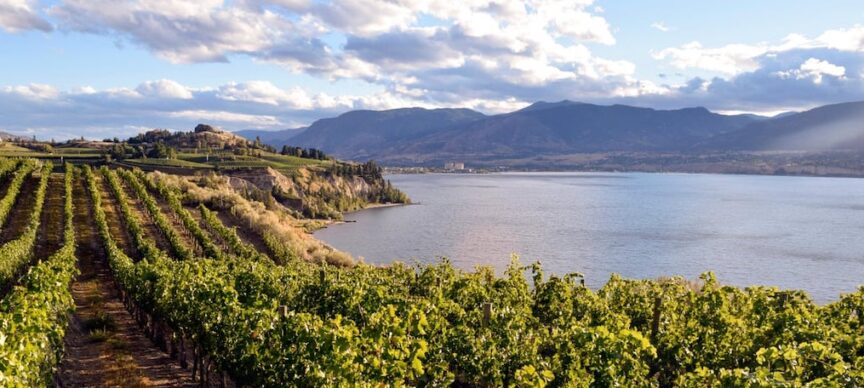 Top 12 Okanagan Wines You Must Try 1 Top 12 Okanagan Wines You Must Try