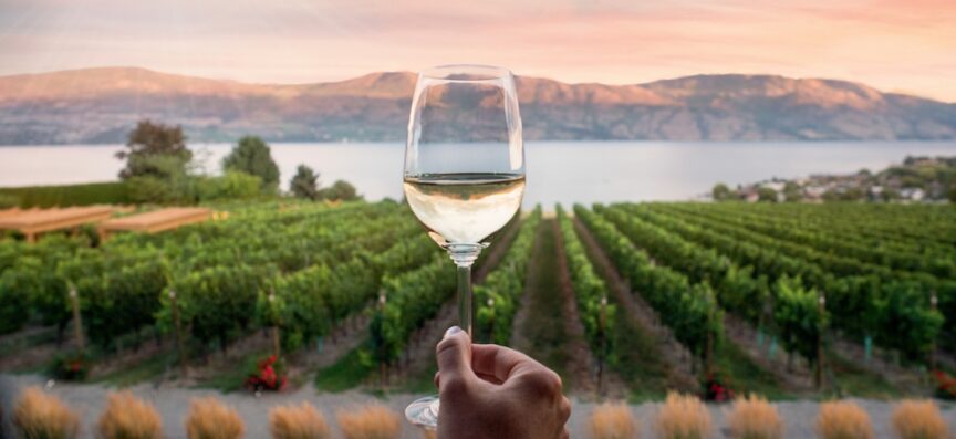 8 Summerland Wineries You Need To Visit 1 8 Summerland Wineries You Need To Visit